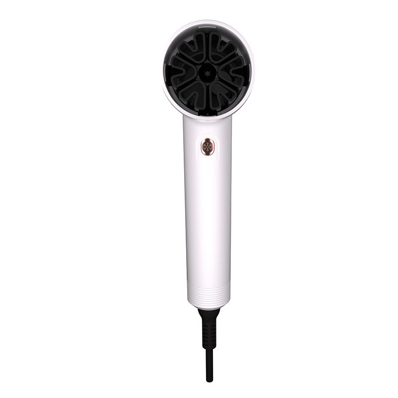 ホーム ヘアドライヤー ソロン 1800W 高速 ネガティブなイオン 電動イオン プロフェッショナル ヘアブローヤードライヤー