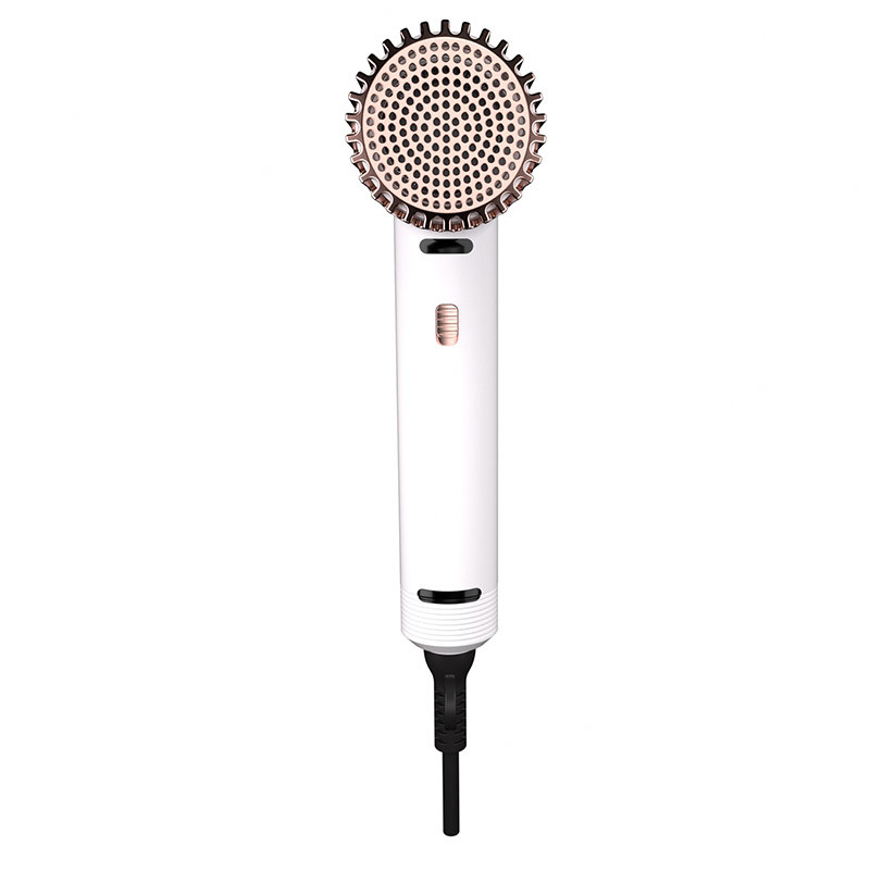 ホーム ヘアドライヤー ソロン 1800W 高速 ネガティブなイオン 電動イオン プロフェッショナル ヘアブローヤードライヤー