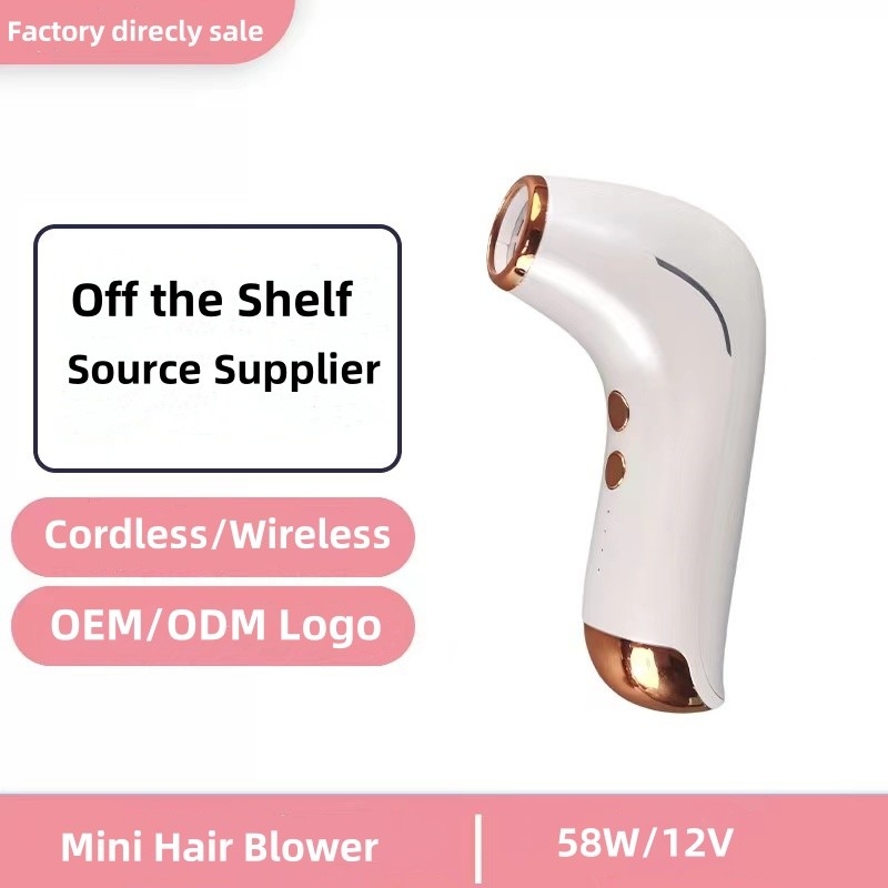 ポータブル 60W バッテリー駆動 ワイヤレス ヘアドライヤー クールショット ボタン コンセントレーター ノズルタイプ
